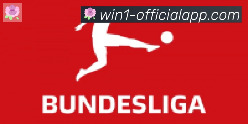 1Win体育合作伙伴